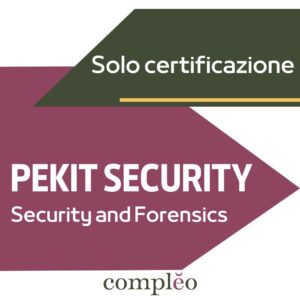 PEKIT Security and Forensics