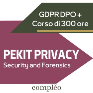 PEKIT Security and Forensics