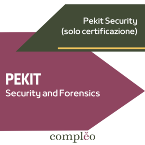 PEKIT - Security and Forensics