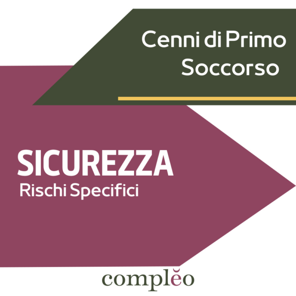 SICUREZZA - Rischi Specifici
